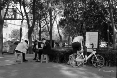 Kazino Fiz Mobilioji programa